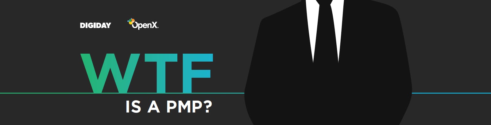 WTF is a PMP? WTFisPMP Hero - WTF is a PMP?